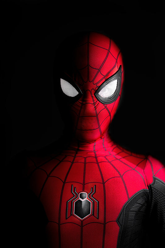 SPIDERMAN POSTERS